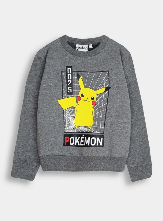 Boys Printed Full Sleeves Pullover